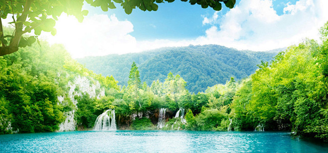 丛林 树林 绘画参考 (923)