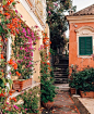 波西塔诺小镇
ins：nickipositano ​​​​