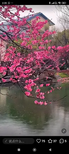 花草集 - 高清图片，堆糖，美图壁纸兴趣社区