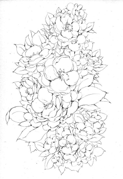 八孜采集到黑白花卉
