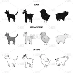 标志,厨房,可爱的,农业,纯种犬,复活节,食品,狗,猪