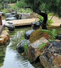 成为温暖的光采集到庭院元素-水景