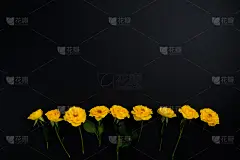 黄色,黑色背景,贺卡,复活节,空的,清新,浪漫,婚礼,古典式,春天