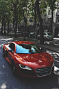 •WE ARE VANITY• : envyavenue:
“Audi R8 V10”
