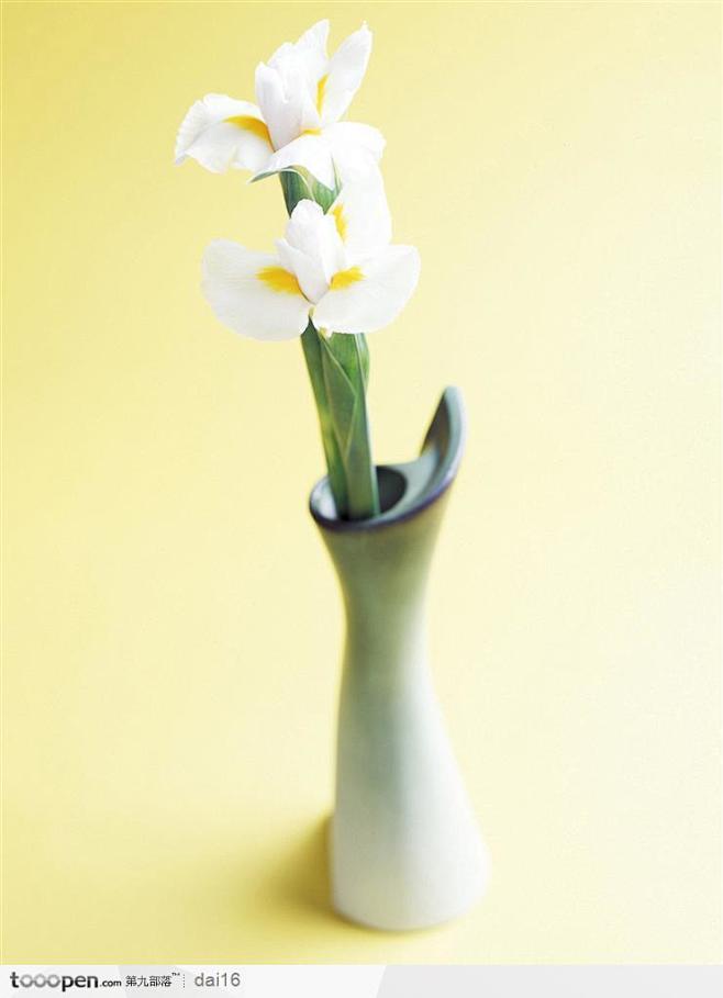 花艺摆设-小巧花瓶中的水仙花
