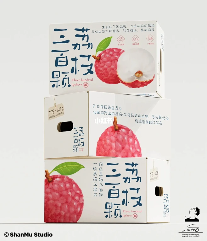 原创设计｜荔枝包装-花瓣网