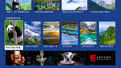 小熊软糖(o・_・)ノ采集到iptv