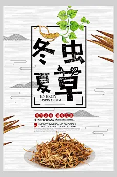 米白高级感大气冬虫夏草养生海报