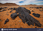 pitch-black-rocks-in-the-desert-klein-aus-vista-namibia-DJ2D5H.jpg (1300×956)