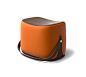 Hermès Ottoman
Hermes ottoman with strap that makes it highly portable. L21.1" x H14.1" x W13.6".
Storage area covered in chocolate leather.
Cover in pumpkin Palomino velvet.

Recalling the shape of a saddle, the ottoman offers small occasi