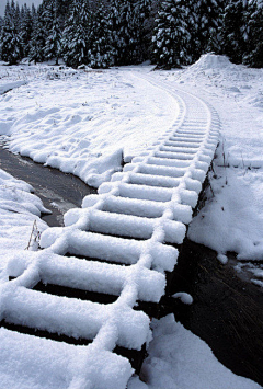 软软的coffee采集到冬之冰雪