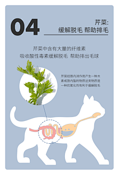 晋原珺采集到A工作宠物详情页