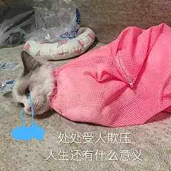 新的一个月就要来新的钱

月头表情包转里送300rmb叭！
12月要暴富鸭！！！
说下冬天最想得到什么吧！说不准实现了呢
后天开。 ​​​​