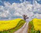 Lovely France by Lars van de Goor on 500px