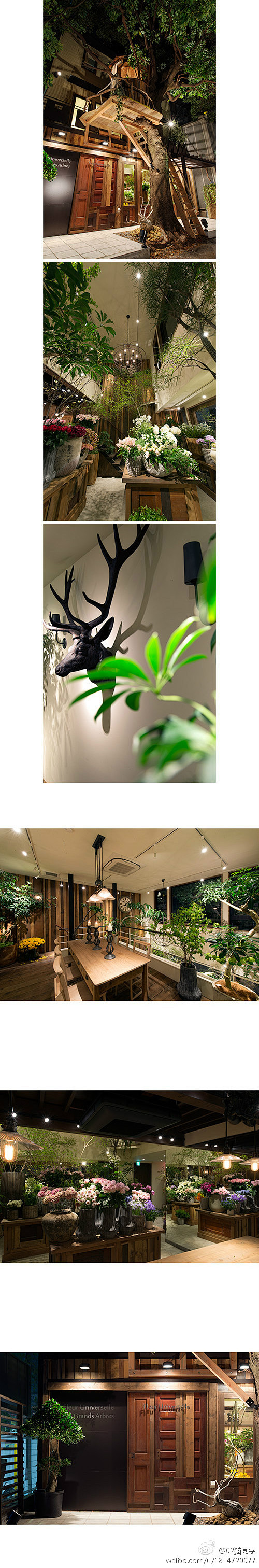 ユニバーサル園芸社的植物咖啡馆 #植物#...