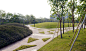 迈丘设计项目 | “绿叶细胞” 中企绿色总部中央公园建筑景观设计