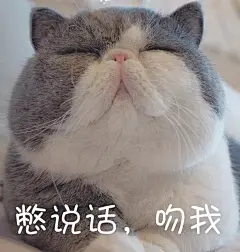 来一发大脸猫表情包，脸大垂地～