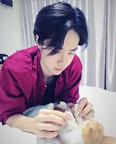 王1啵的表情包超话耶啵撸猫合集 ​​​​
