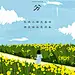 This may contain: a woman walking through a field full of yellow flowers with the sky in the background