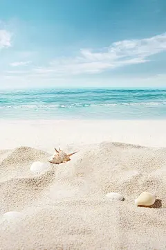 夏季背景素材｜去海边清凉海报电商壁纸 - 小红书