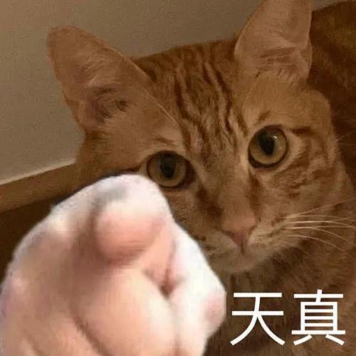 被我指到的人表情包原图_百度图片搜索