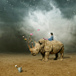 rhino by Silvia15