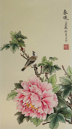 雨落の花香采集到【工笔】牡丹