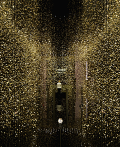 SilenceⅦ采集到就