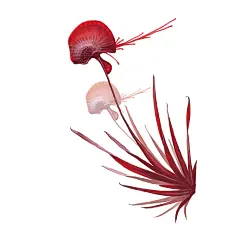 alien grasses