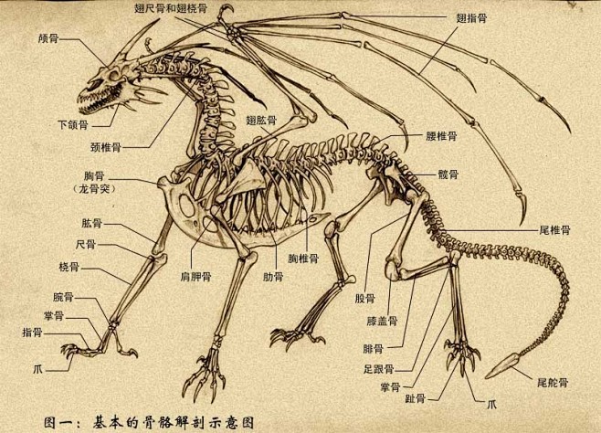 西方龙的搜索结果_百度图片搜索