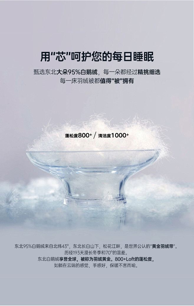 维克多鹅绒被95白鹅绒羽绒被春秋被加厚被...