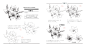 本内容摘自人民邮电出版社出版、爱林文化主编的《黑白花意！笔尖下的87朵花之绘》
