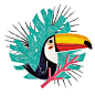 JUNGLE TATTOOS : Collection of 10 jungle tattoos. Artwork and packaging.