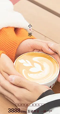 地产小寒节气简约大气海报