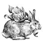 手绘线稿素描植物动物兔子花卉鸡蛋插图PNG+PSD设计元素  (4)