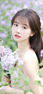 春意
采集@别致的七
cr：随意朱
md：安安崽