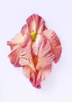 (1704) Pinterest