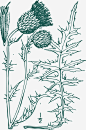 开花卡通水飞蓟免抠素材_新图网 https://ixintu.com 卡通植物 开花 扁平风格 植物 水生植物 水飞蓟