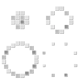 tex&Ray_ring_yw04_fx-花瓣网