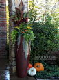 Seasonal Landscape & Containers - Unique by Design l Helen Weis : Seasonal Landscape & Containers