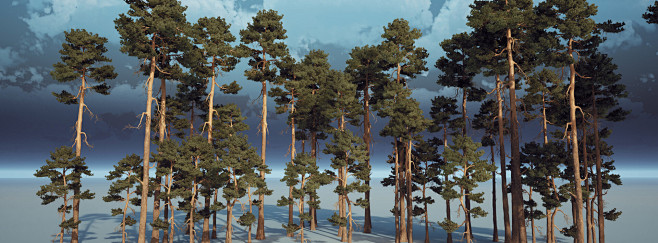 Pine Trees. UE 5.
