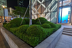 小馒花花采集到球球