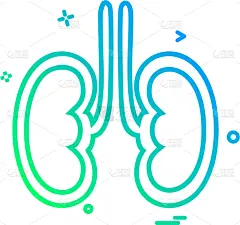 健康保健,计算机图标,注射器,门诊部,蜘蛛网,豆科植物,科学,白色,设计