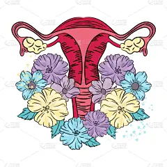 健康保健,绘画插图,女性,矢量,打印单据,生物学,有序,请柬,贺卡,背景分离