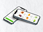 Groceries App UI Kit — UI Kits on UI8