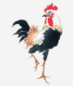 翻滚吧青年采集到插画