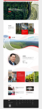 清风纸业-金光集团-集团网站建设_-PAIKY高端定制网站建设