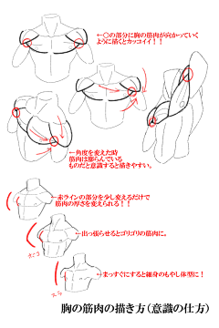 阿苏Sama采集到肢体