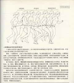 nx安琪采集到素描