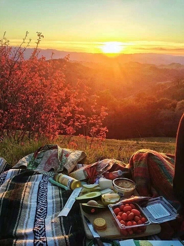 这个夏天，还差一场完美的野餐.良仓－生活...